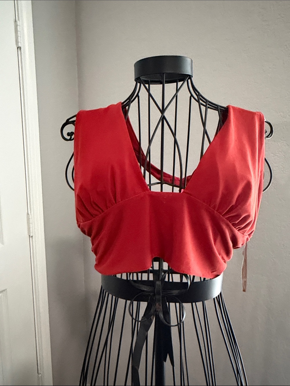 Red Sleeveless V-Neck Crop Top
